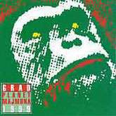 RiRock albumi: Grad - ”Planet majmuna 1999.” (Dallas, 1998.)