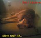 Žan Jakopač i Mazguni predstavljaju novi album