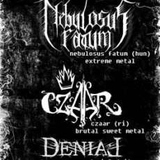 Metal night u Palachu
