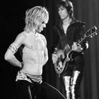 The Stooges pokradeni u Montrealu