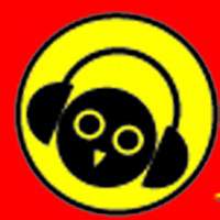 Kreće ’’Radio Sova’’